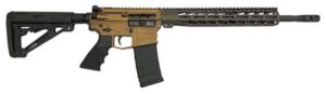 Dark Storm DS15 Typh Std 5.56 NATO Rifle CH