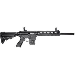 Smith & Wesson M&P15-22 Sport .22 LR 18 PC 10rd