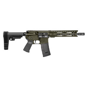 Diamondback DB-15 .300 BLK 10" OD Green SBA3
